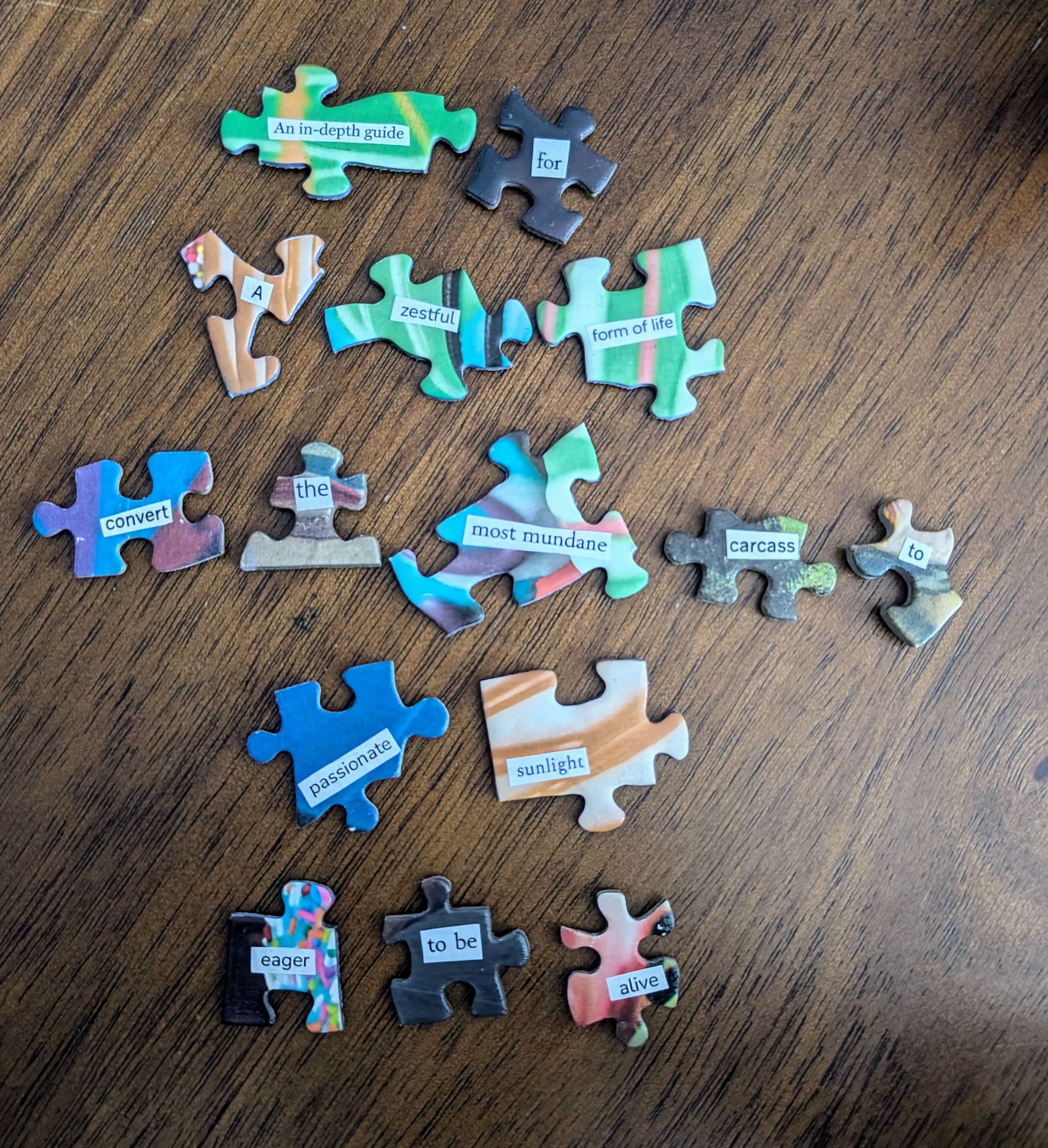 other-magnet-puzzle-poem