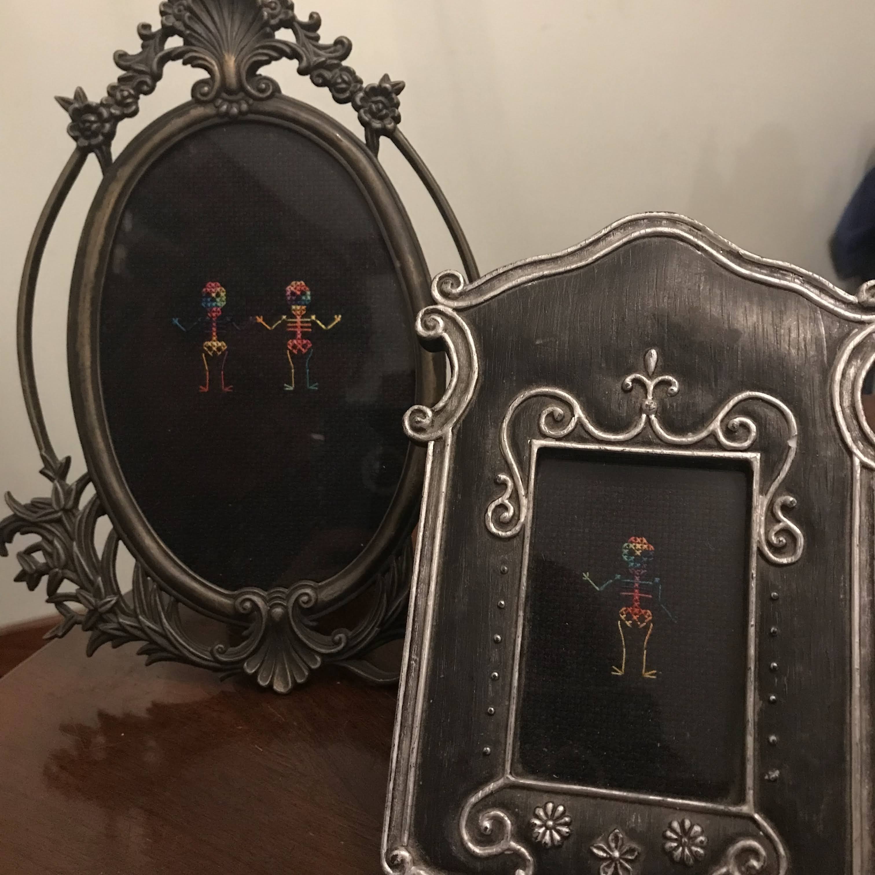 ../assets/images/gallery/rainbow-skeleton-frames.HEIC